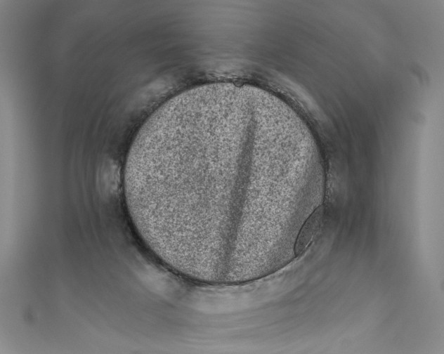X0000110940025200907101256
