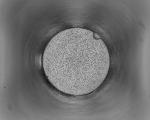 X0000110940028200907101256