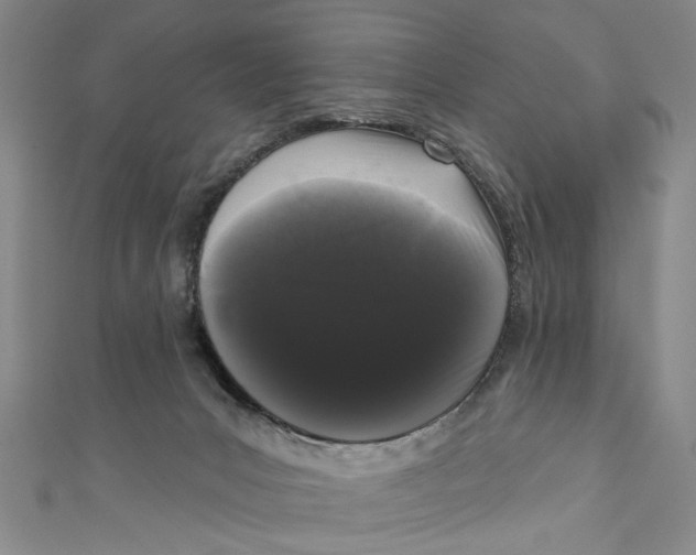 X0000110940031200907101256