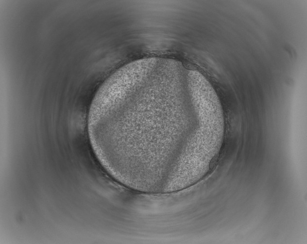 X0000110940033200907101256