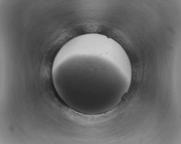 X0000110940035200907101256