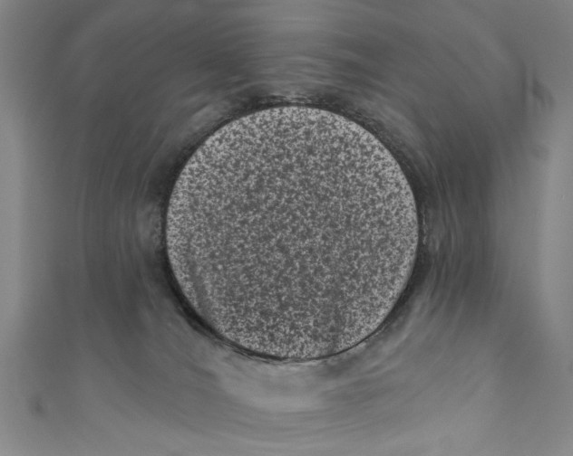 X0000110940036200907101256