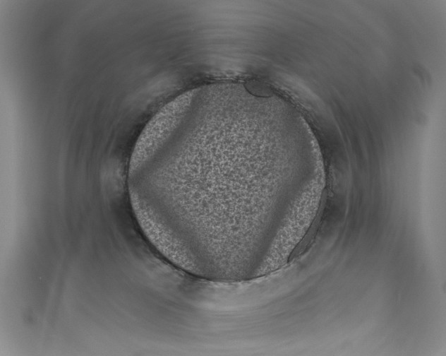 X0000110940037200907101256
