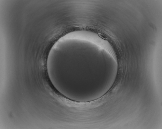 X0000110940039200907101256
