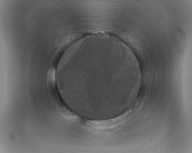 X0000110940041200907101256