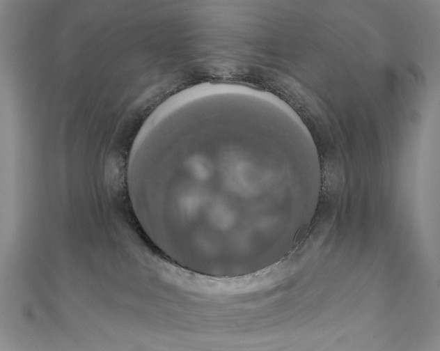X0000110940043200907101256