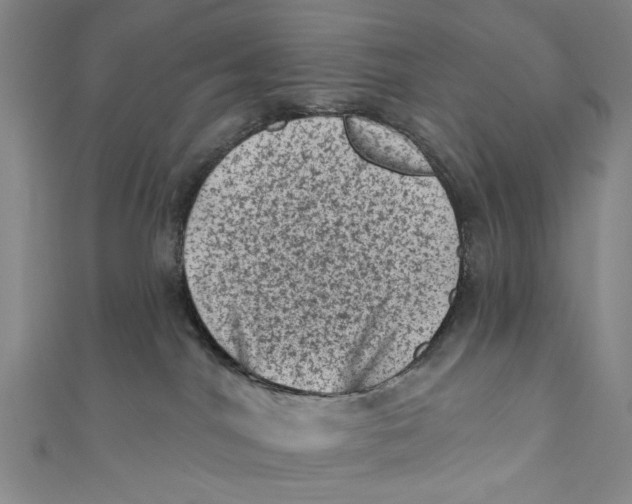 X0000110940044200907101256