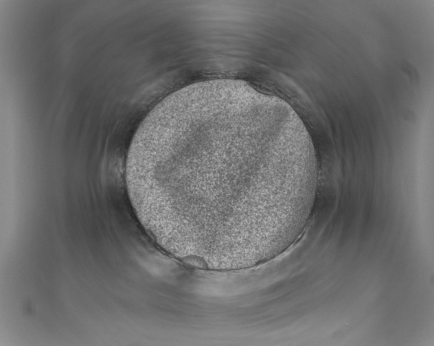X0000110940045200907101256