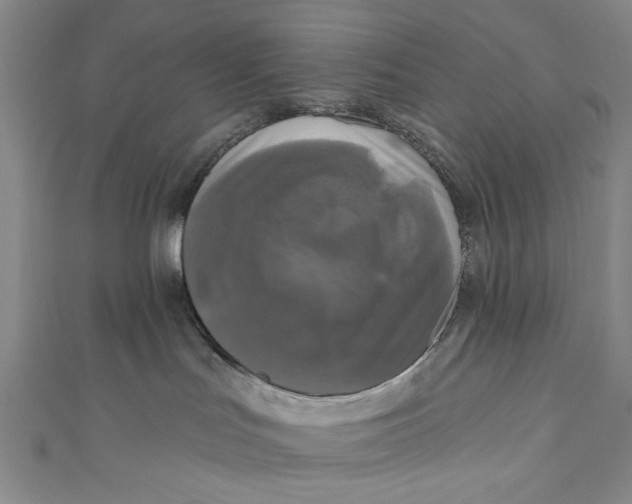 X0000110940047200907101256