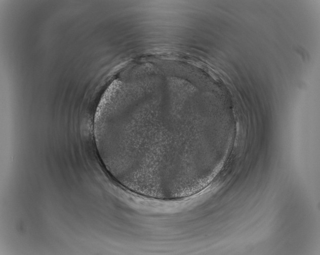 X0000110940048200907101255