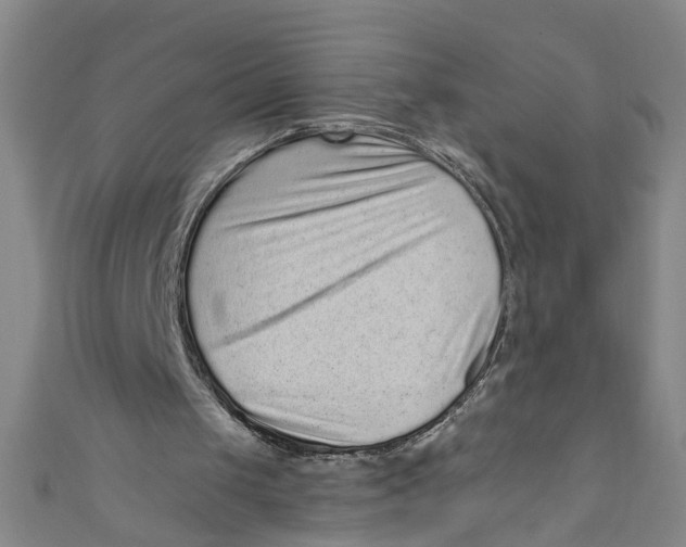 X0000110940049200907101255