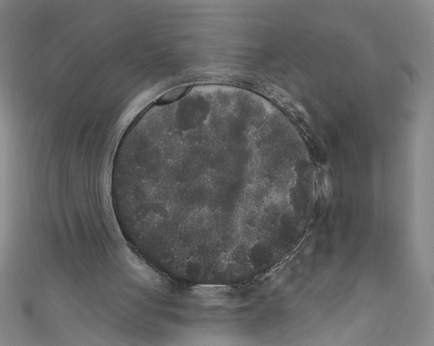 X0000110940051200907101255