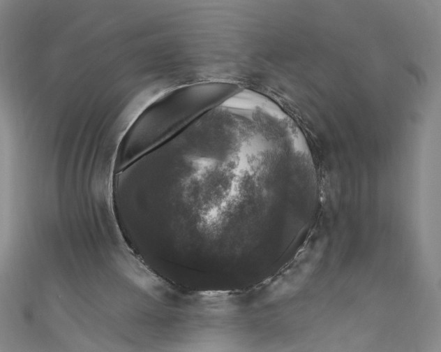 X0000110940052200907101255