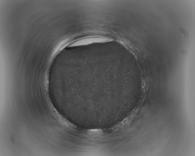 X0000110940053200907101255