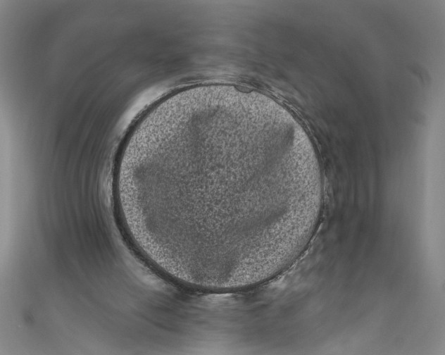 X0000110940054200907101255