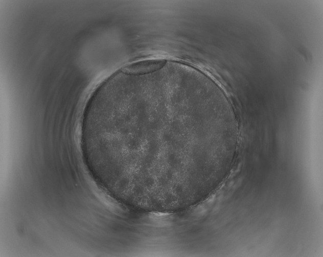 X0000110940055200907101255