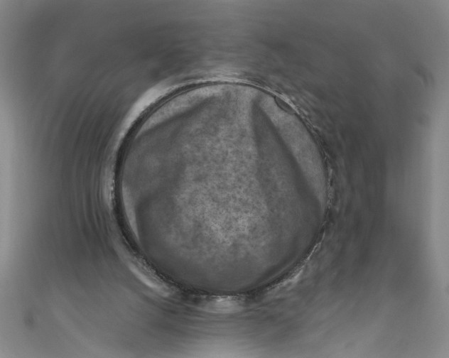 X0000110940056200907101255