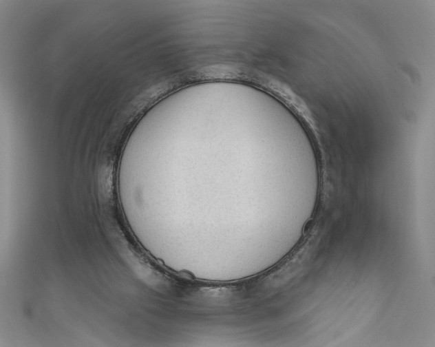 X0000110940057200907101255
