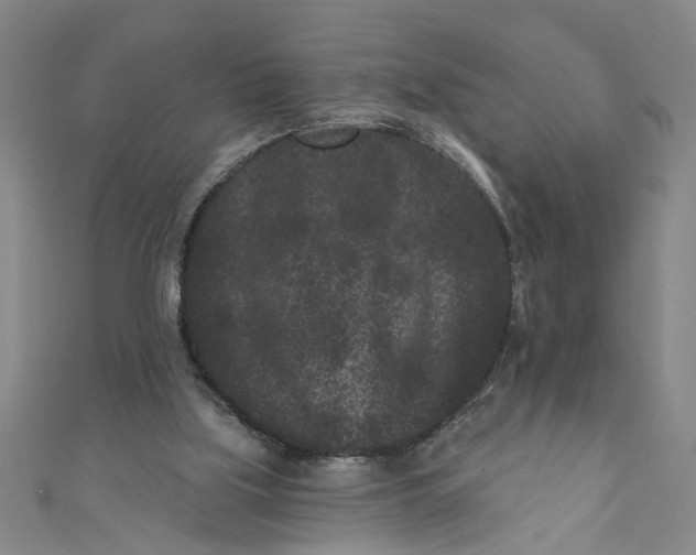 X0000110940059200907101255