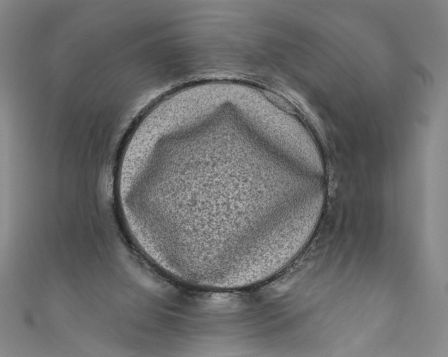 X0000110940060200907101255