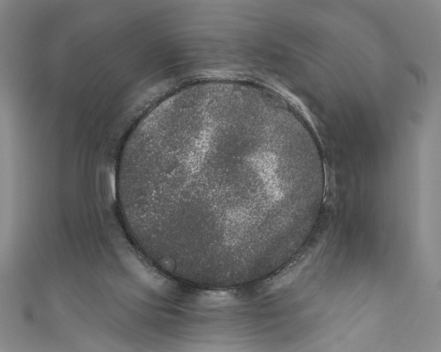 X0000110940061200907101255