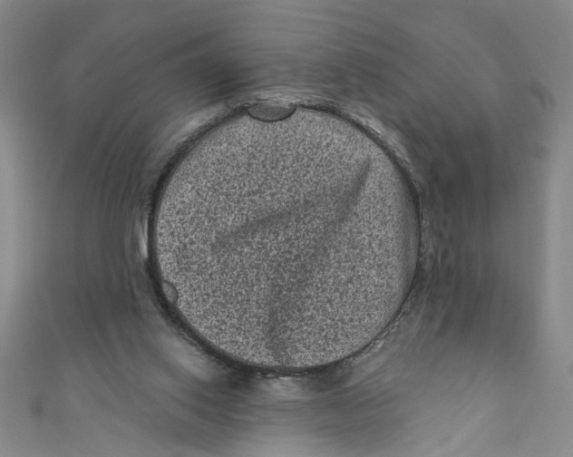 X0000110940062200907101255