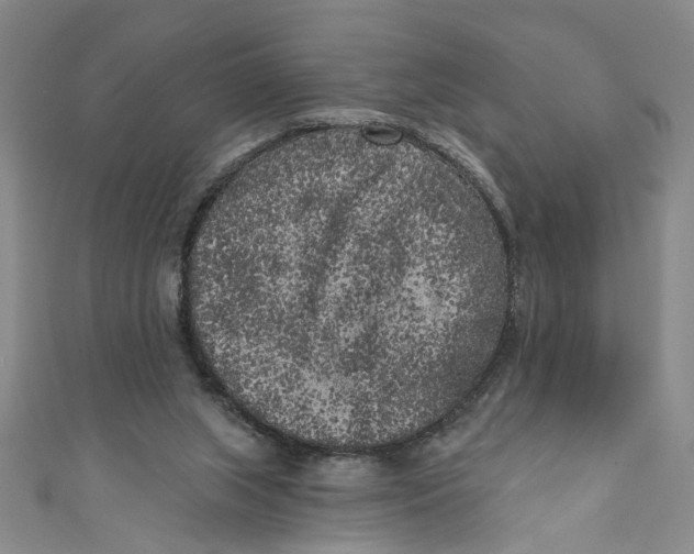 X0000110940063200907101255