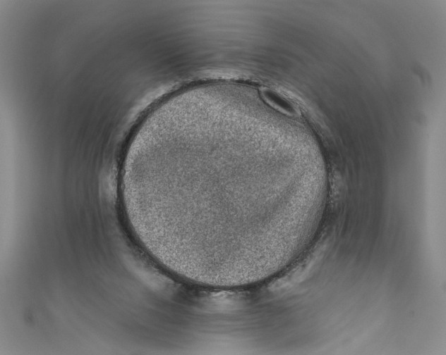 X0000110940064200907101255