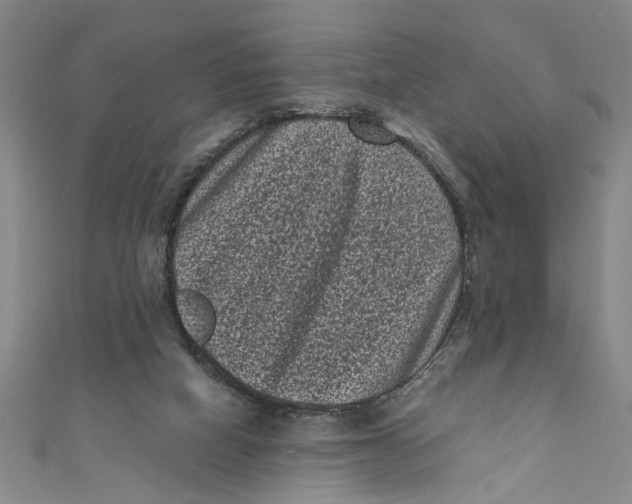X0000110940066200907101255
