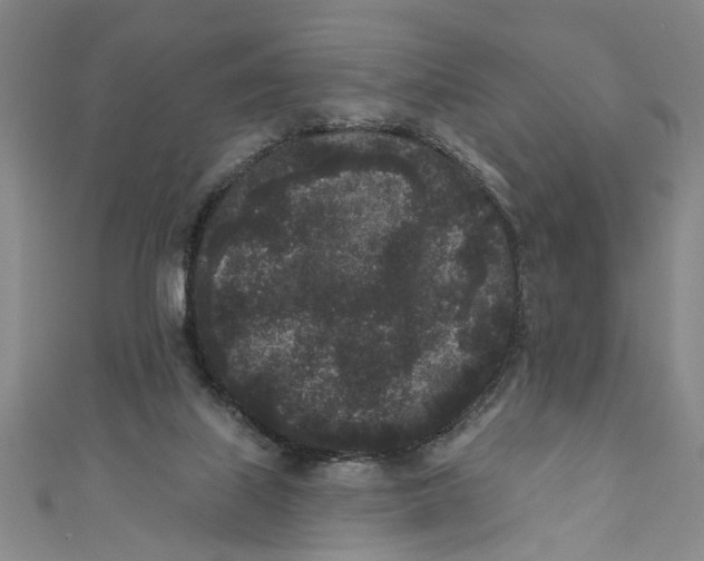 X0000110940067200907101255
