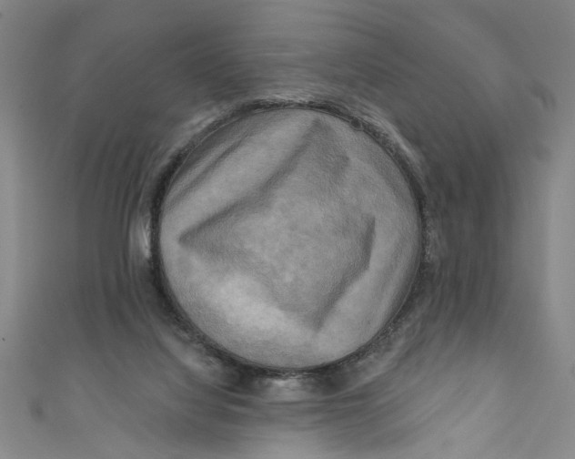 X0000110940068200907101255