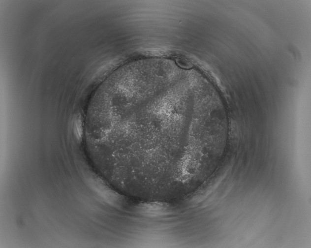 X0000110940069200907101255
