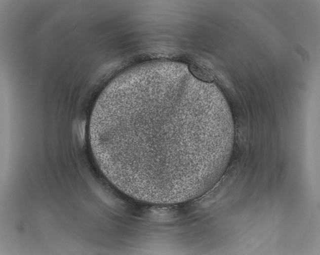 X0000110940070200907101255