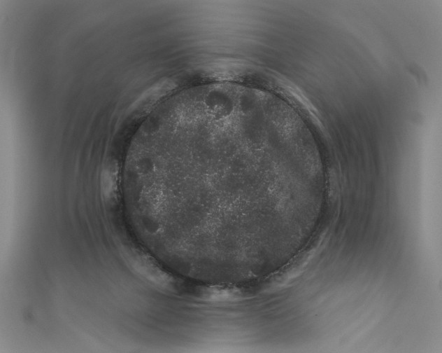 X0000110940073200907101255