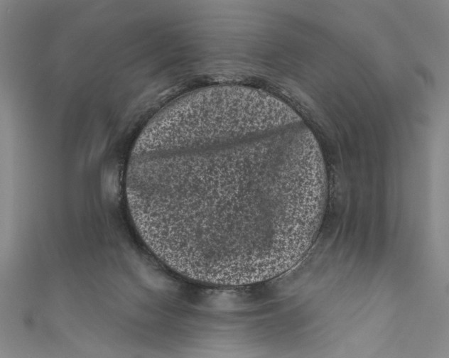 X0000110940074200907101255