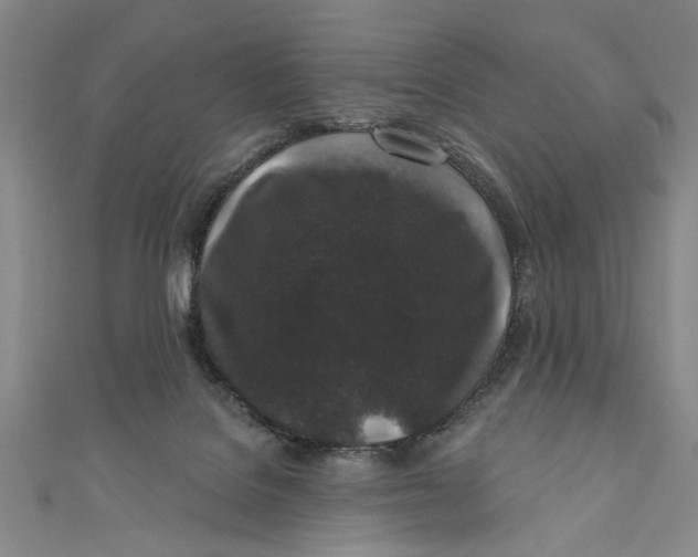 X0000110940076200907101255
