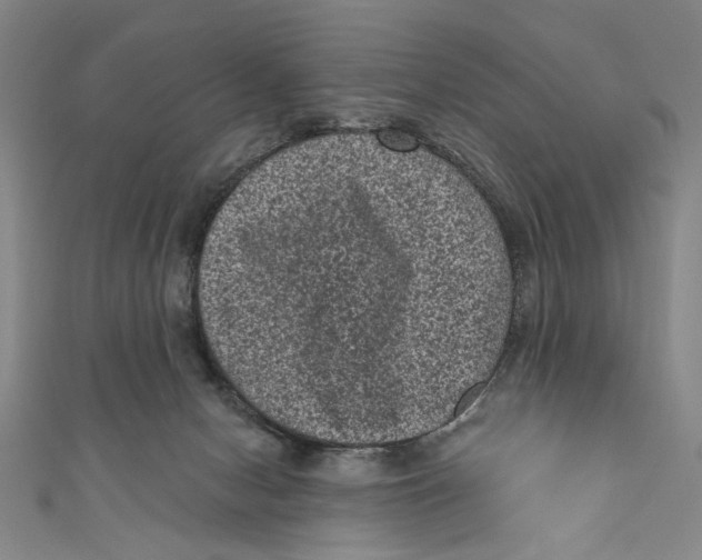 X0000110940078200907101255