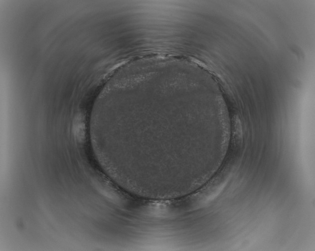X0000110940080200907101255
