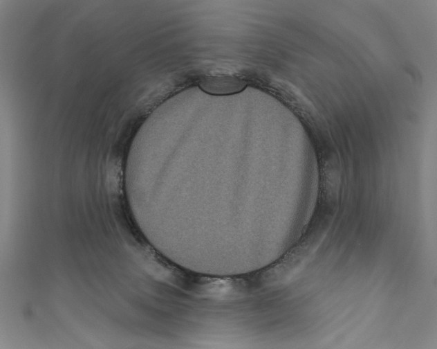 X0000110940083200907101255