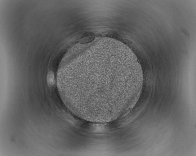 X0000110940089200907101255