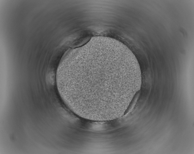 X0000110940090200907101255