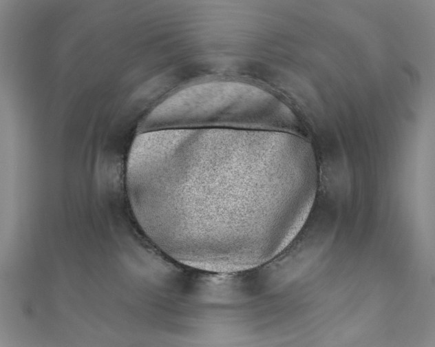 X0000110940092200907101255