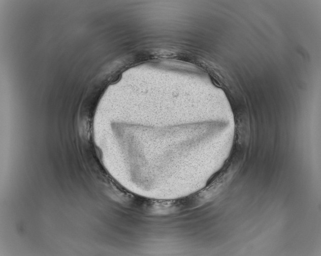 X0000110940093200907101255