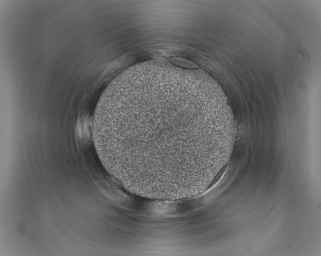 X0000110940094200907101255
