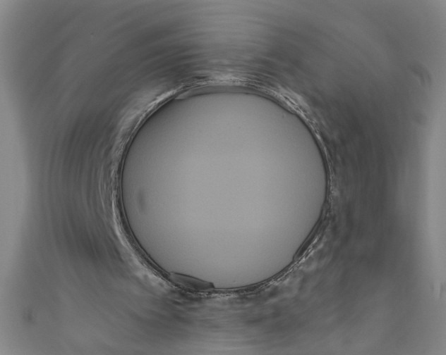 X0000110940097200907101255