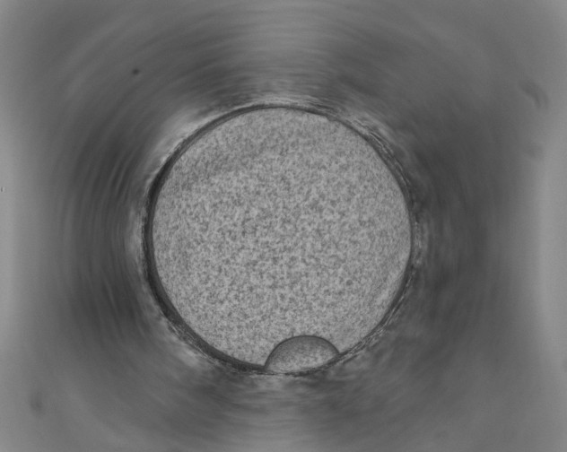 X0000110940098200907101255
