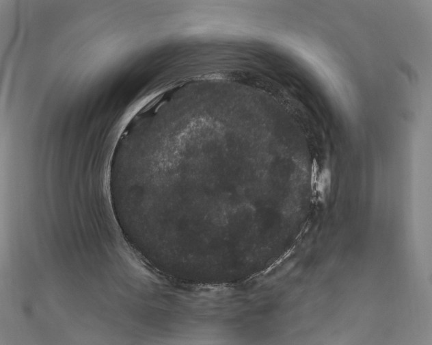 X0000110940099200907101255