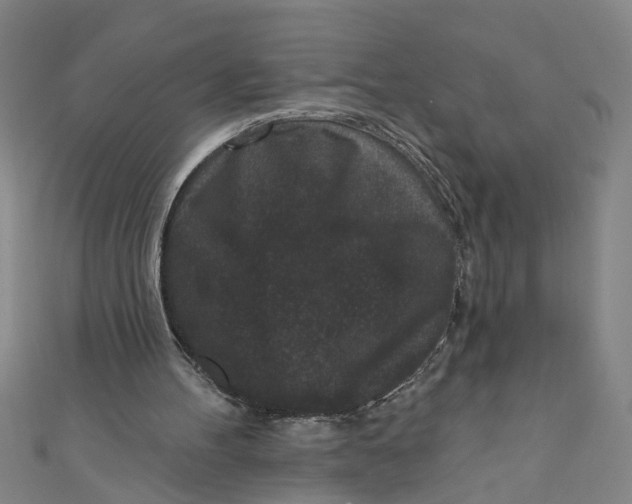 X0000110940100200907101255