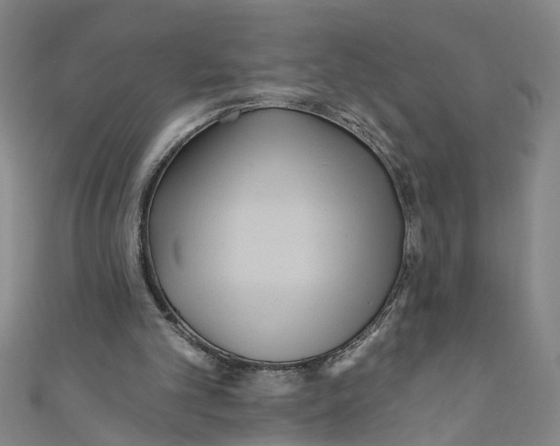 X0000110940101200907101255