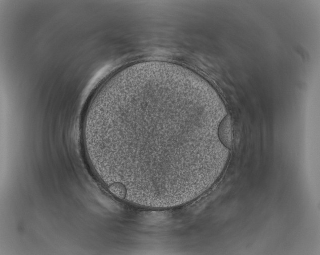 X0000110940102200907101255